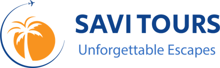 Savi Tours